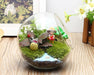 Clear Glass Vase | 15cm-sourcy-global.myshopify.com-