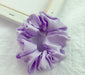 Satin Cloth Scrunchies | Multiple Colors-sourcy-global.myshopify.com-