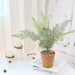Potted Artificial Plastic Fern/Bonsai Plants