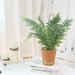 Potted Artificial Plastic Fern/Bonsai Plants-sourcy-global.myshopify.com-