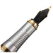 Frosted Nib Gold & Silver Fountain Pen