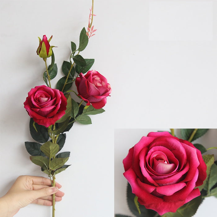 Artificial Rose (Flowers) | Multiple Colors