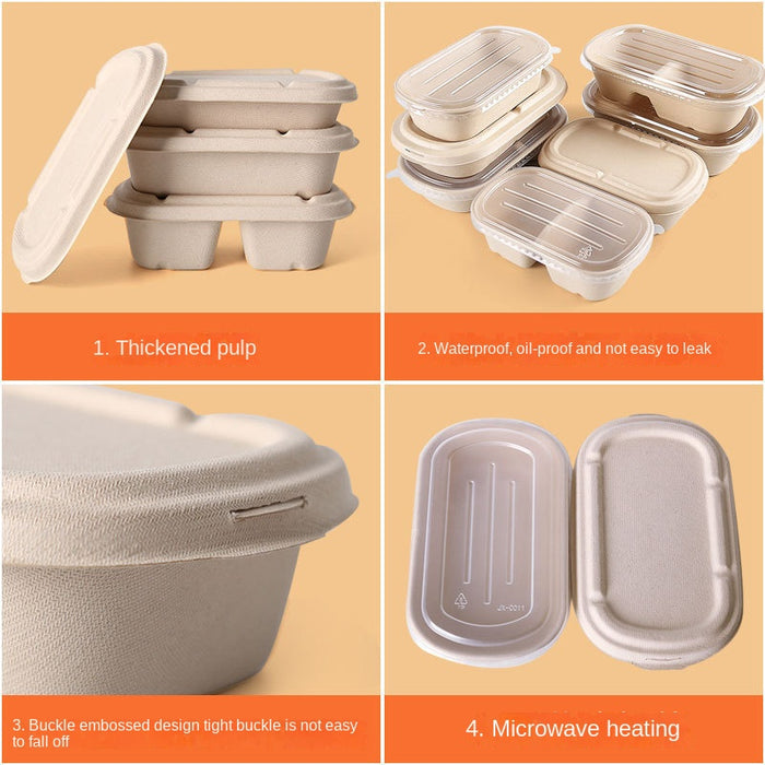Eco-friendly Bagasse Container