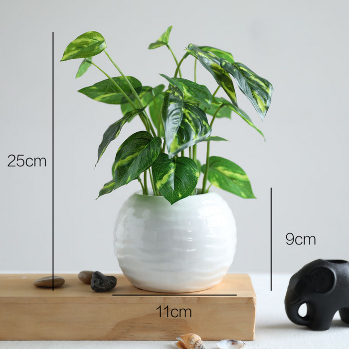 Artificial Potted Bonsai | Multiple Sizes